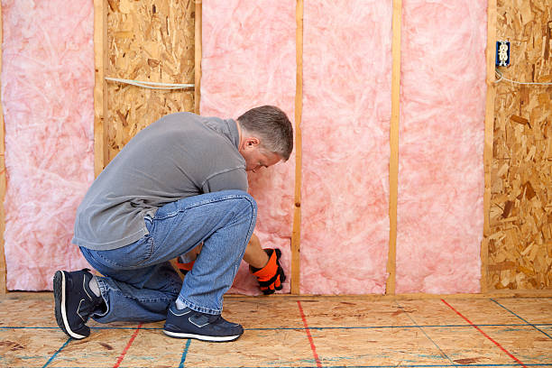 Best Insulation Maintenance and Repair in Panhandle, TX
